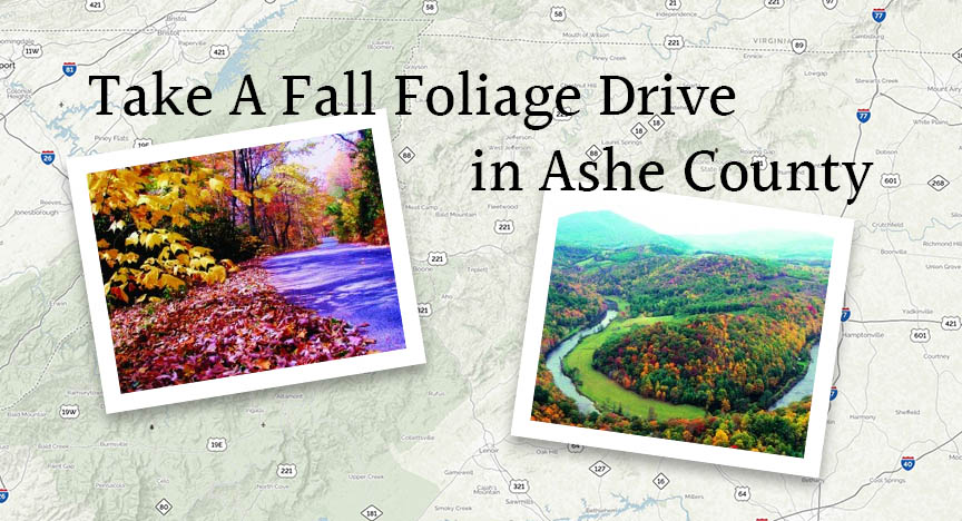 Take A Fall Foliage Drive in Ashe County