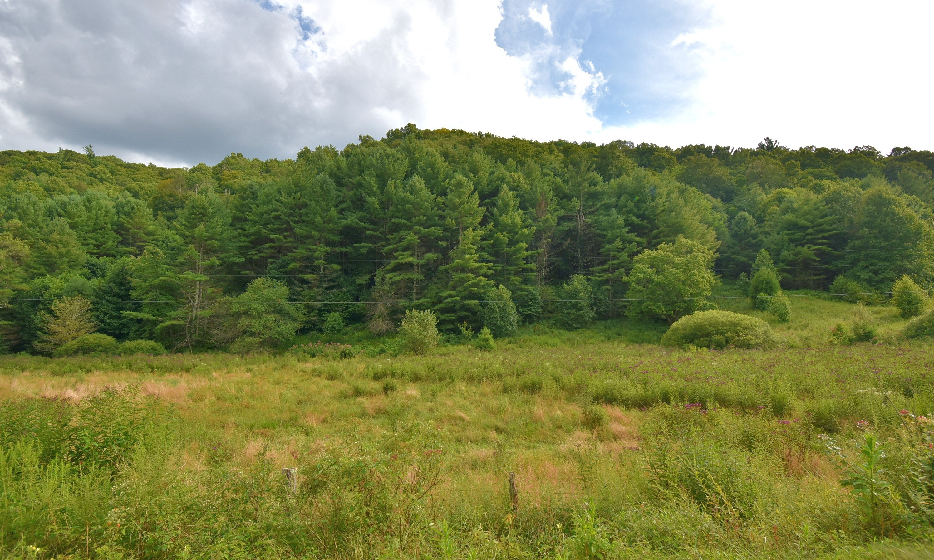 This gorgeous 64.97 acre tract of land is located off of Little Laurel Rd. in the Creston area of Ashe County in the mountains of North Carolina.