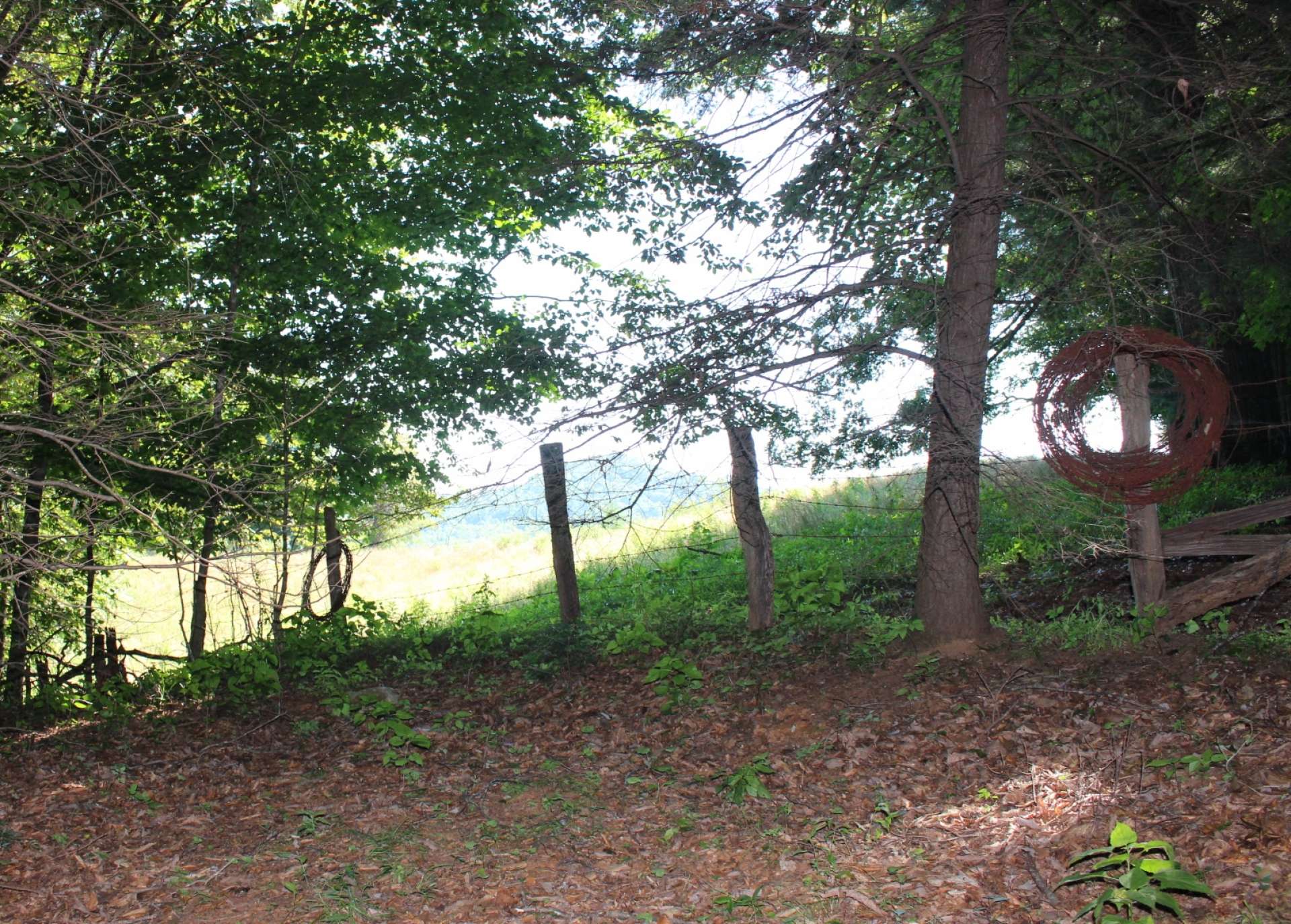 There is a potential for views of Three Top Mountain, with tree removal. A very small mountain stream meanders along the bottom of the boundary near the entrance.