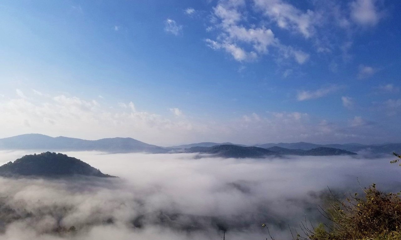 Foggy Days in the Blue Ridge