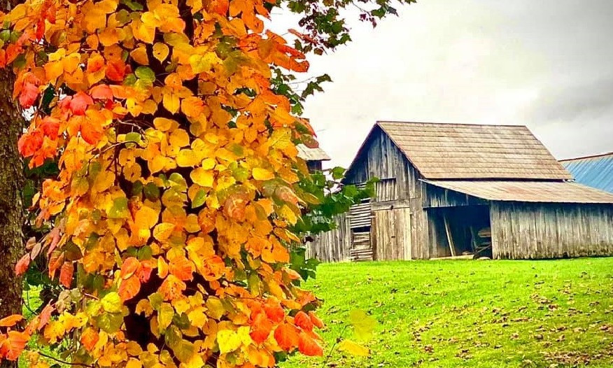 Ashe County - September