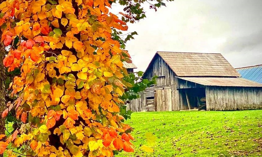 Ashe County  Autumn Day