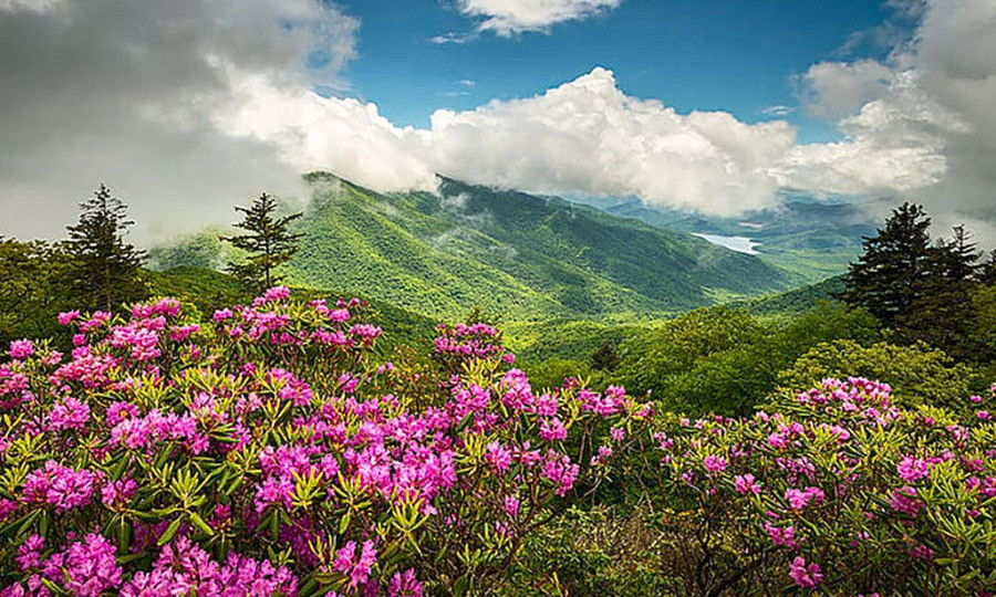 The Blue Ridge Parkway