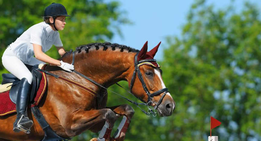 The 2016 Annual Blowing Rock Charity Horse Show