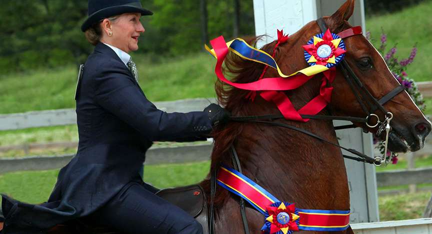 Blowing Rock Charity Horse Show