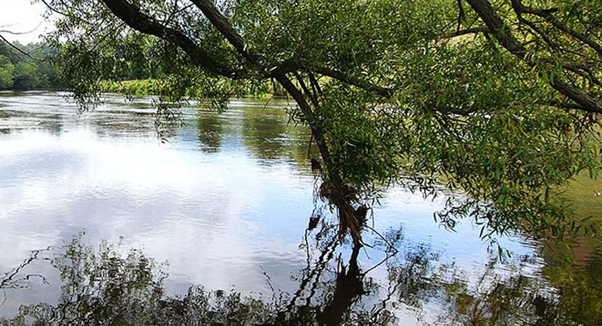 May Hikes in New River State Park 