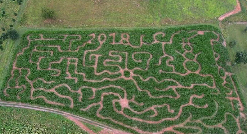 Ashe County Corn Maze and Pumpkin Patch in West Jefferson