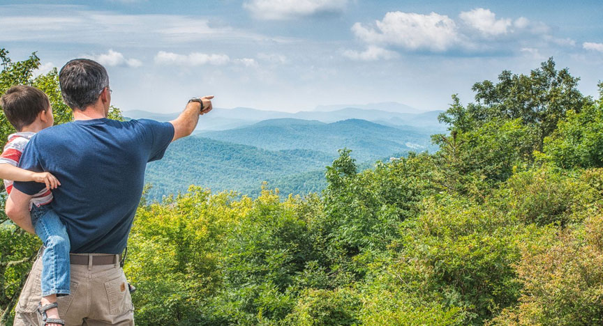 The Remarkable Rhododendron Ramble at Grandfather Mountain