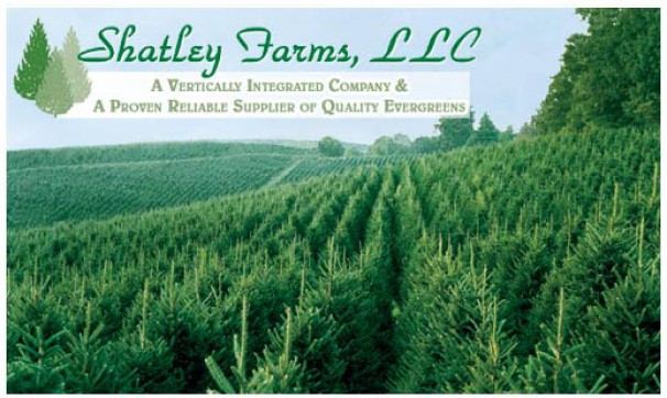 Ashe County Christmas Trees, Choose and Cut