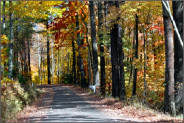 Autumn in Ashe County