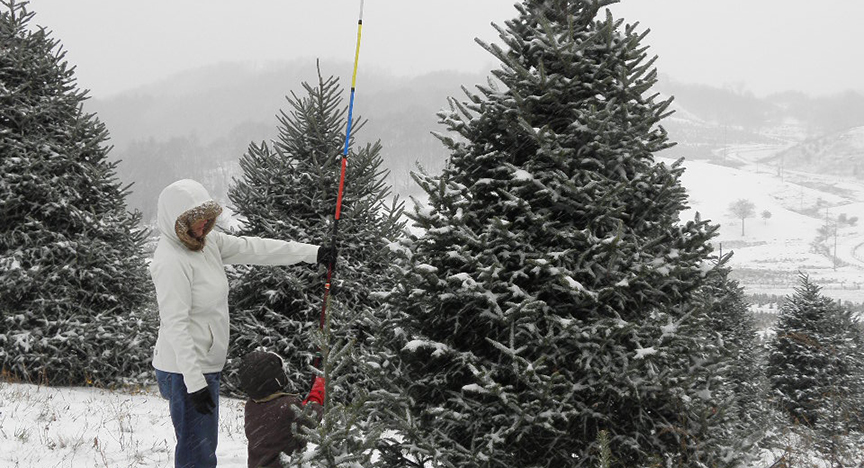 Does Christmas Begin in Ashe County?