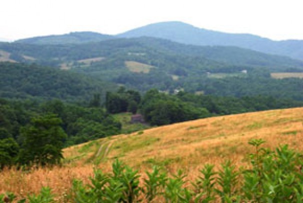 The Majestic Blue Ridge Mountains of North Carolina