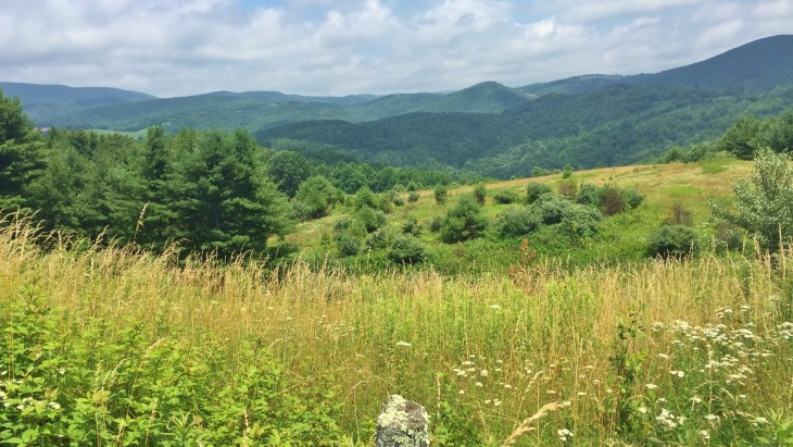 Blue Ridge Mountain Real Estate: Large Virginia Estate Tract