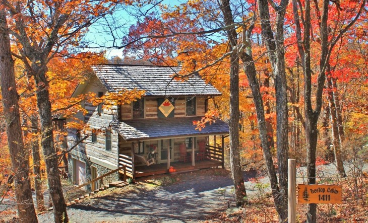 The Tree-top Cabin in Stonebridge! 