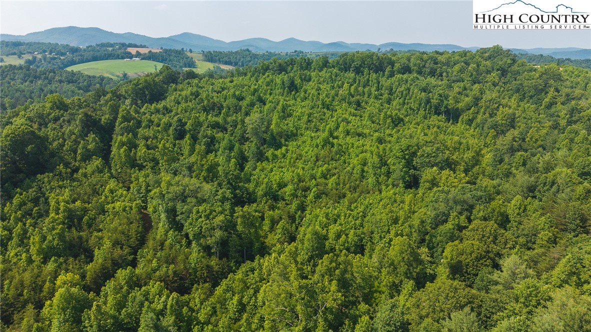 000 Old Vashti Road Lot 2