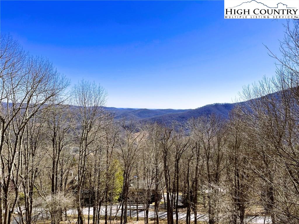TBD 1.84 Acres - NC 194 S Highway