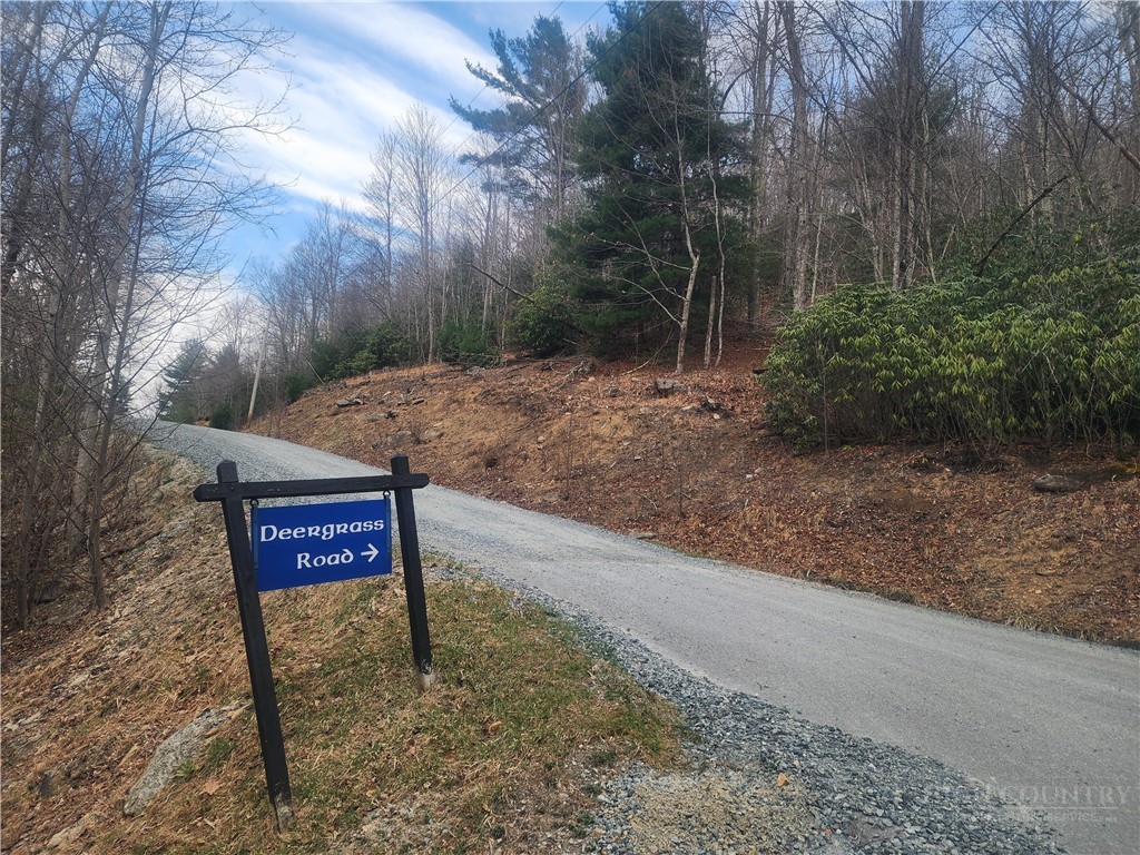 100 Deergrass Road
