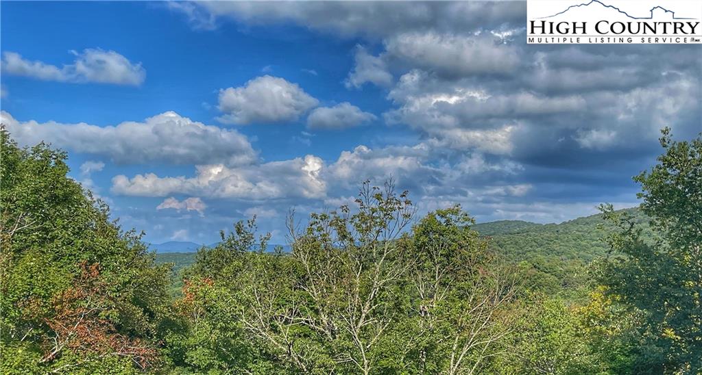 MLS 233260 101 Mid Holiday Lane E317, Beech Mountain, NC 28604