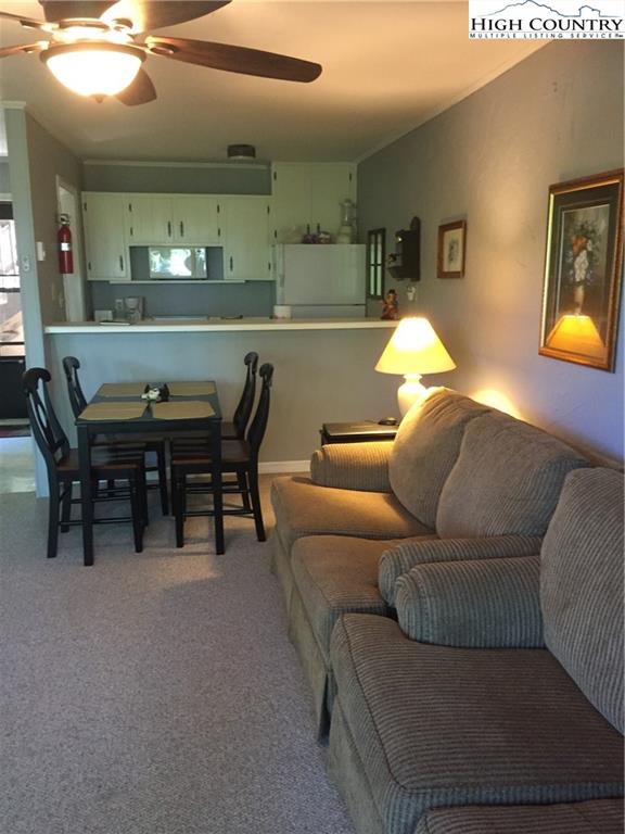 MLS 230565 101 MID HOLIDAY Lane HBV E118, Beech Mountain, NC 28604