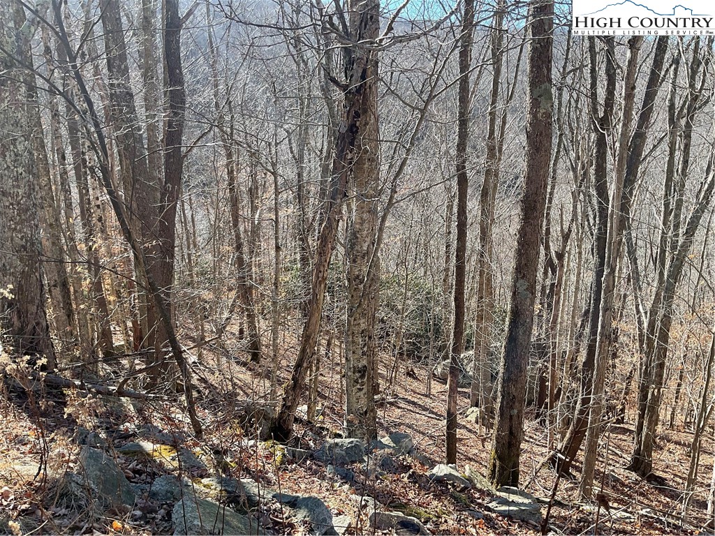 104 Wintercrest Lane