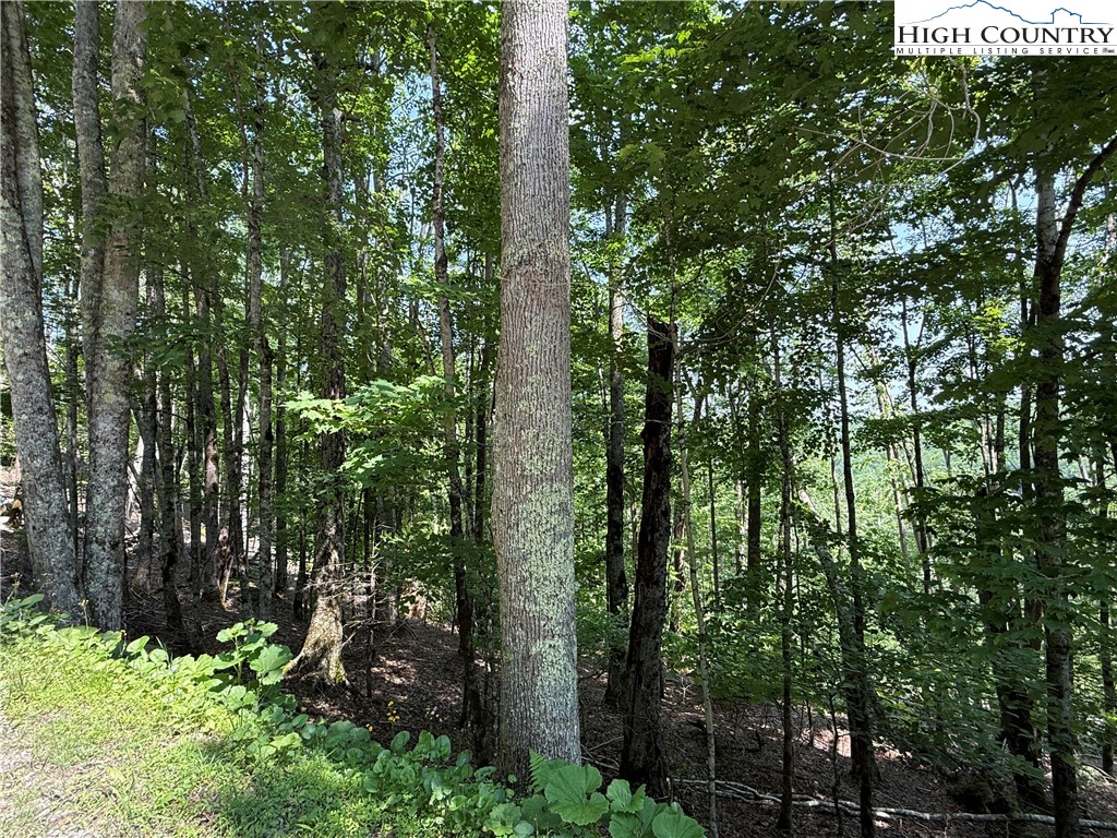 115 Hollow Tree Road