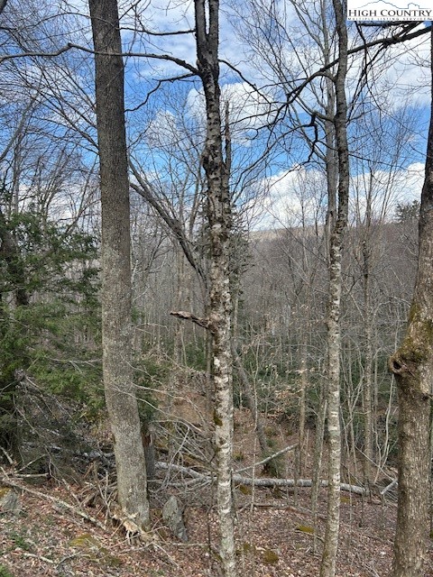 116 E Blueberry Lane