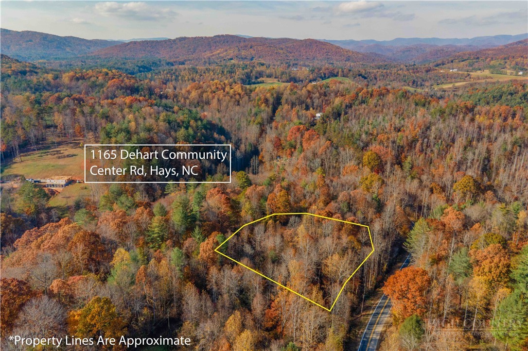 1165 Dehart Community Center Road