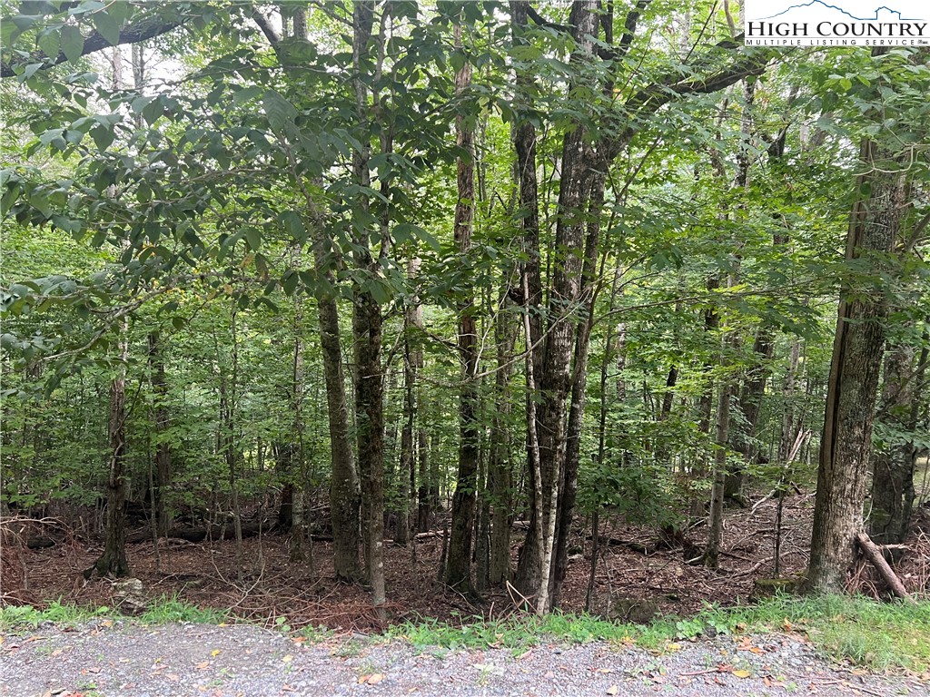 117 Lower Grouse Ridge Road