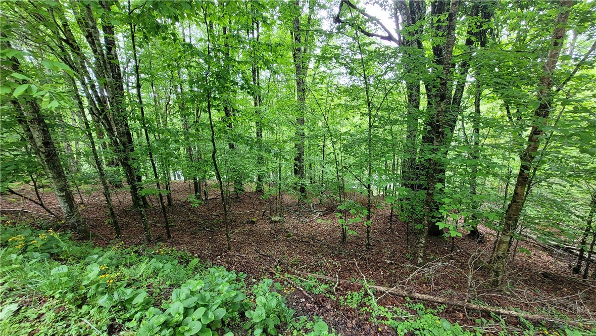 130 E Blueberry Lane