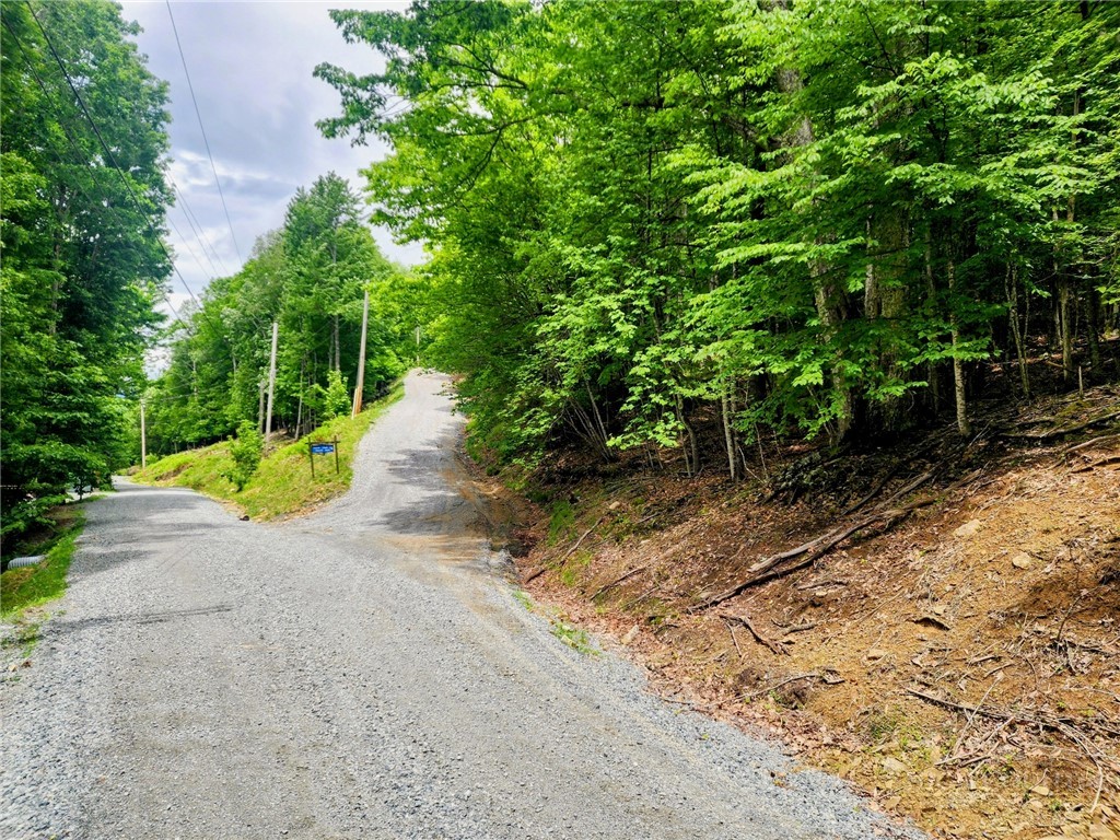 136 Locust Ridge Road