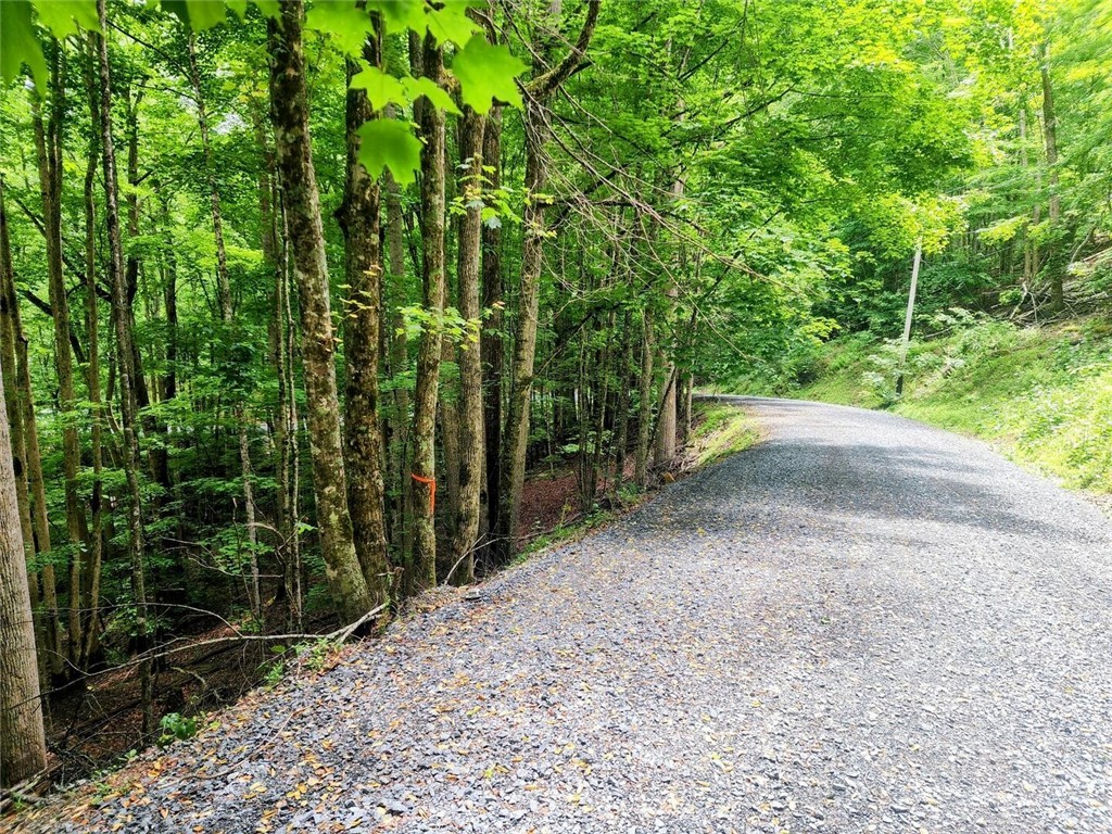 139 Raccoon Road