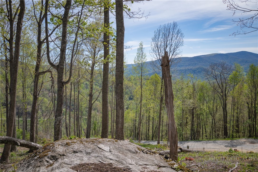 140 Old Forge Trail
