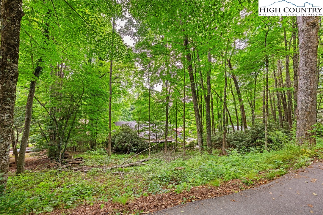 140 Pine View Road