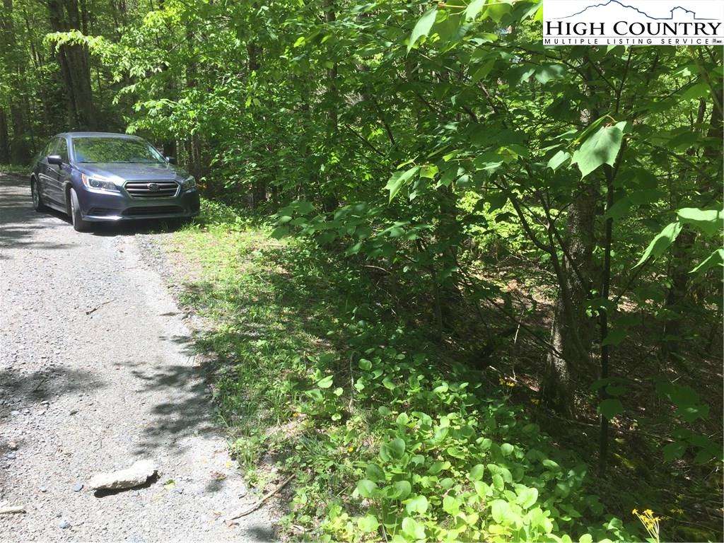 MLS 222134 142 Wild Daisy Lane, Beech Mountain, NC 28604