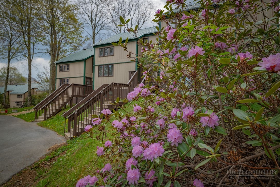 1443 Sugar Mountain Drive B-15