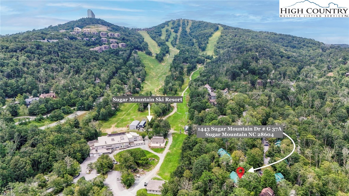 1443 Sugar Mountain Drive G37