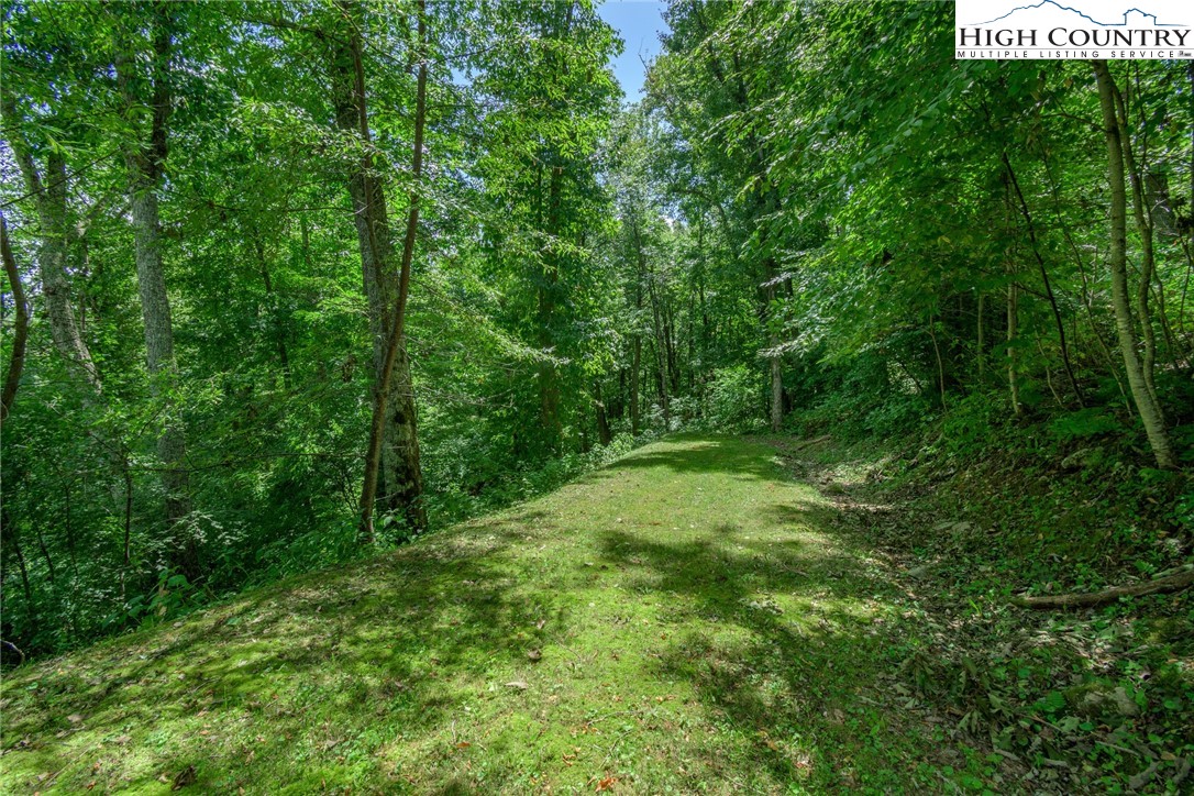 153 Linville Oaks Drive