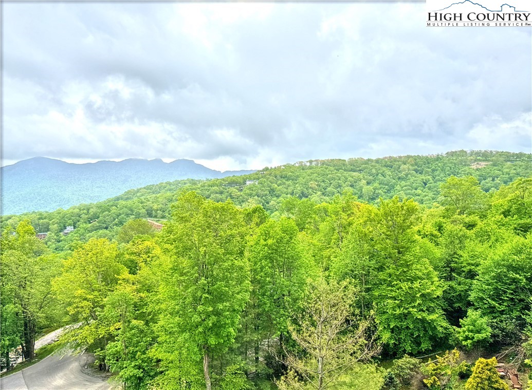 164 Ridgeline Drive 21B