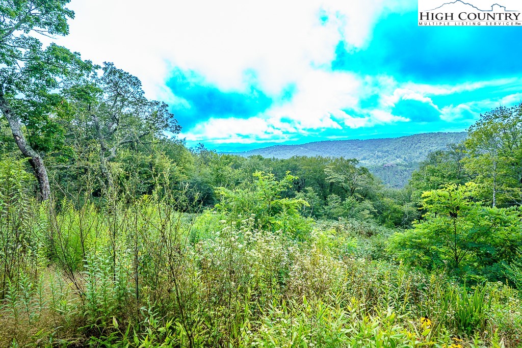 1902 Flattop Cliffs Lane