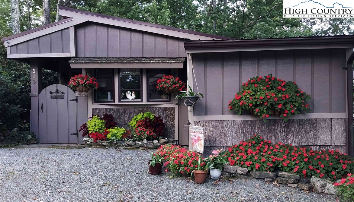 203 Black Pine Road