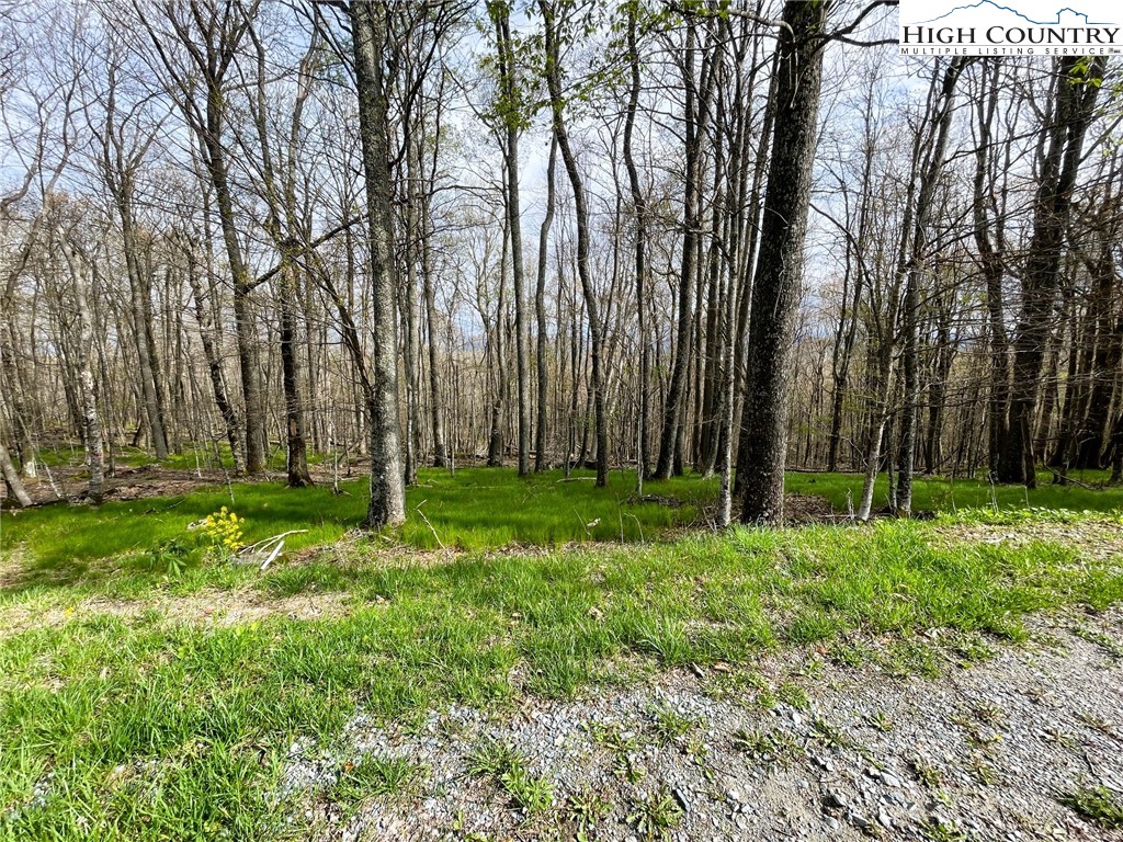 203 Sawmill Branch Road