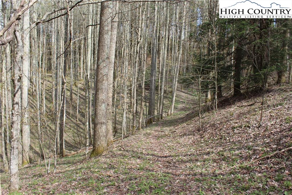 MLS 229922 2030 Roaring Fork Road, Creston, NC 28615