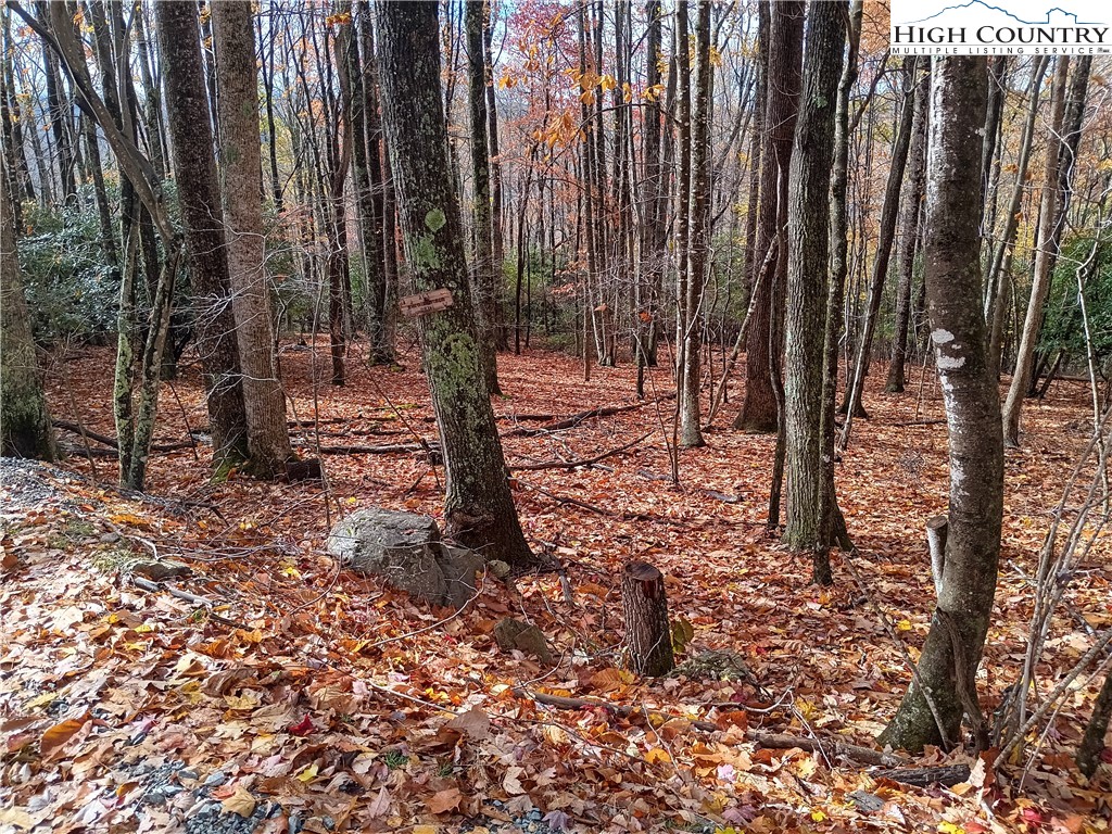 205 Rhododendron Drive