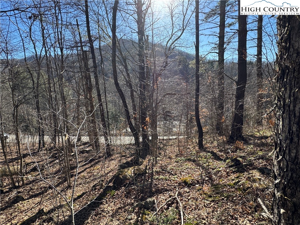 209 Hump View Trail