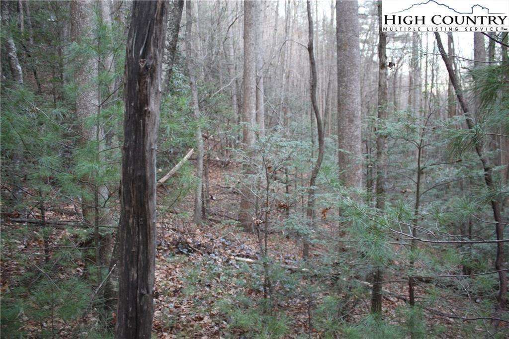 MLS 219819 222 Red Cedar Road, Deep Gap, NC 28618