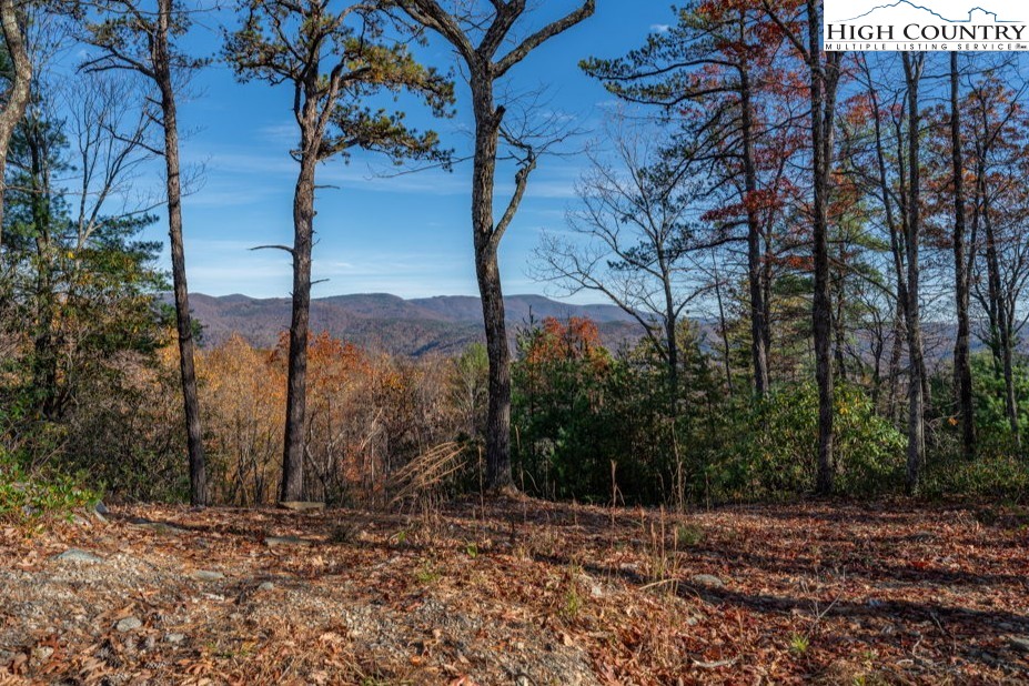 223 Red Cedar Road