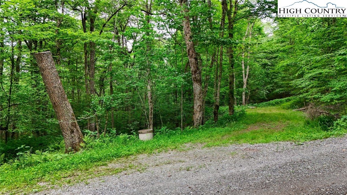 233 Woodland Springs Trail