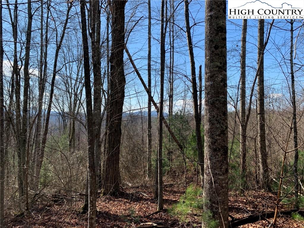 MLS 227054 2381 Roaring Fork Road, Creston, NC 28615