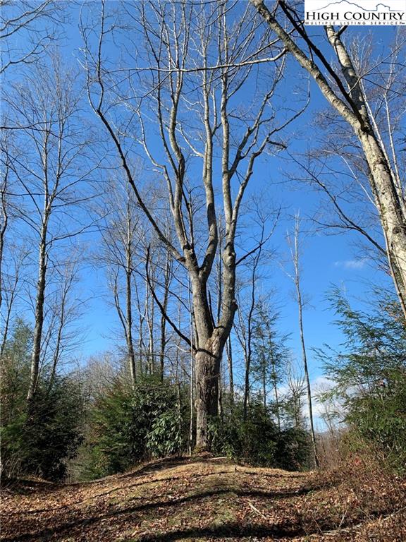 MLS 227054 2381 Roaring Fork Road, Creston, NC 28615