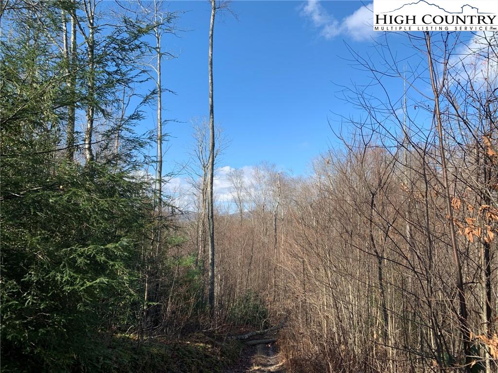 MLS 227054 2381 Roaring Fork Road, Creston, NC 28615